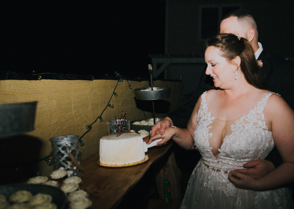 cake cutting with bride and groom at the primacres wedding